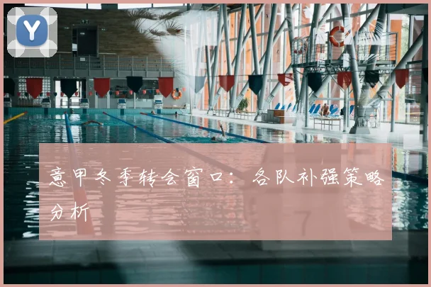 意甲冬季转会窗口：各队补强策略分析
